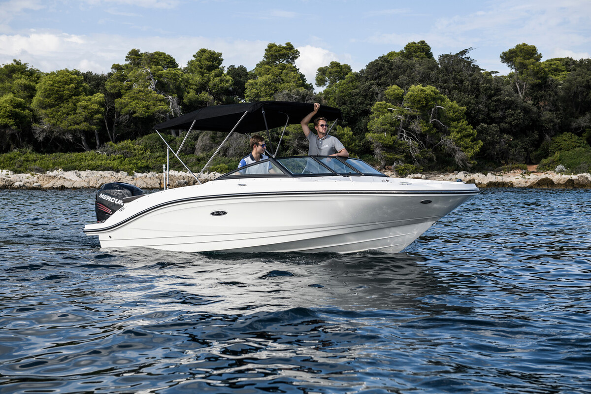 Sea Ray SPX 210 Outboard — foto 7 van 19