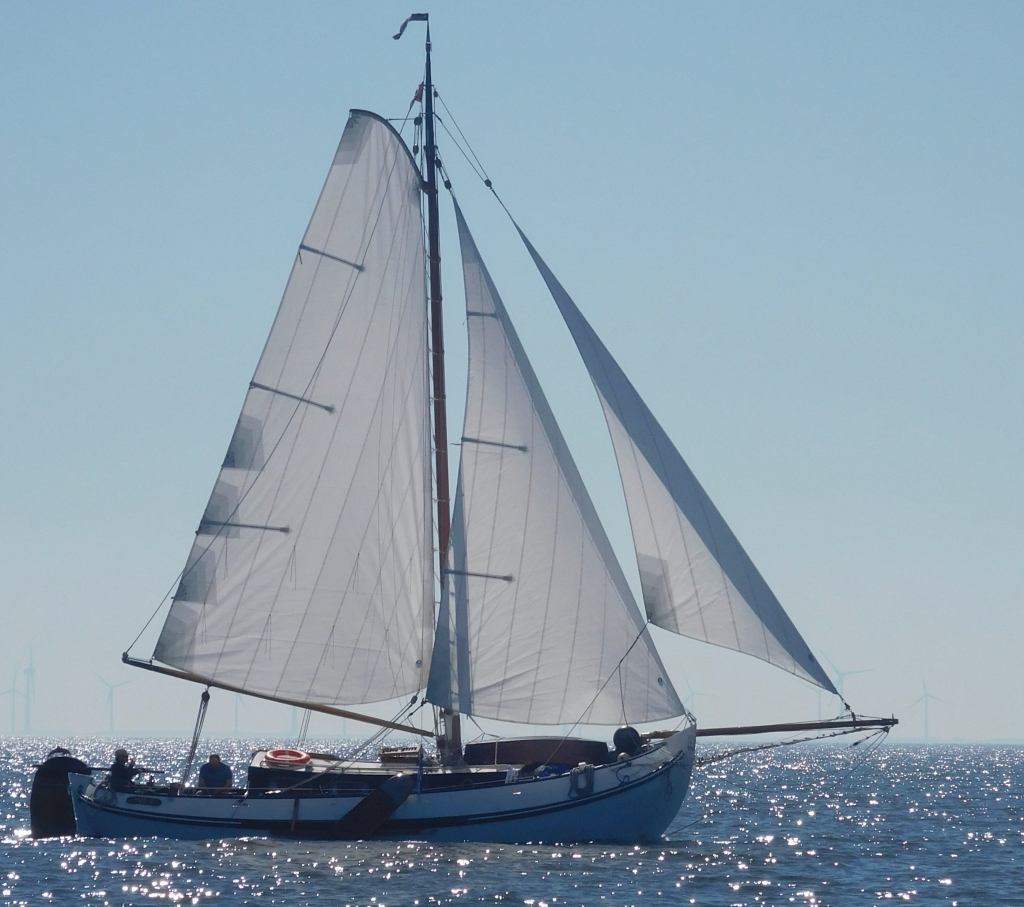 Lemsteraak Roefmodel 1010 - Dolfijn — foto 4 van 39