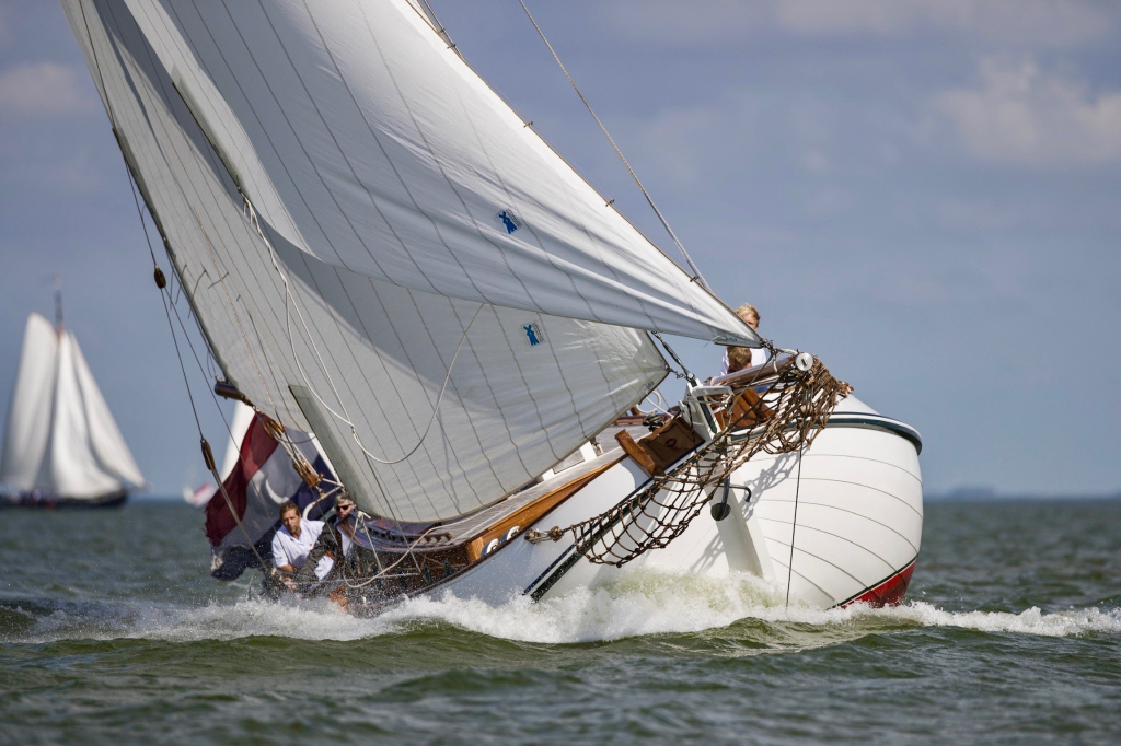 Lemsteraak Argonaut - Blom Roefaak — foto 2 van 15