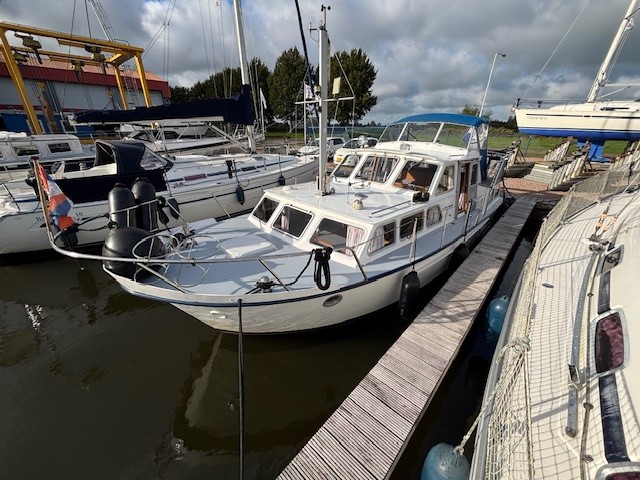 Dutch Lady — foto 2 van 8
