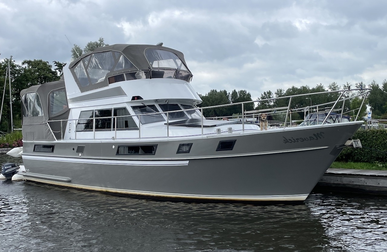 Blauwe Hand Commander — foto 1 van 23