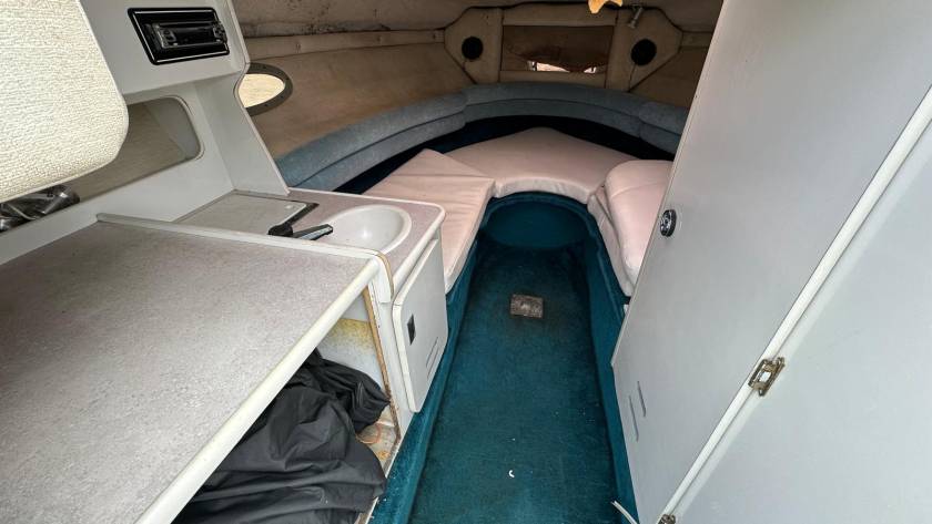 Chaparral 2550 SX — foto 10 van 12