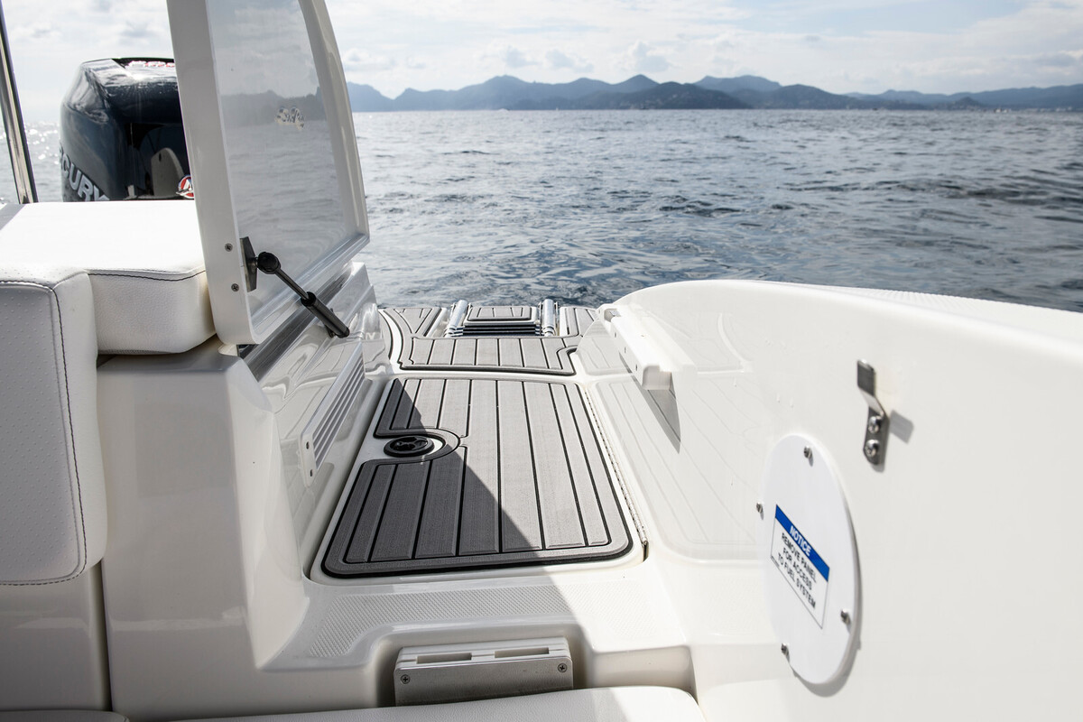 Sea Ray SPX 210 Outboard — foto 15 van 19