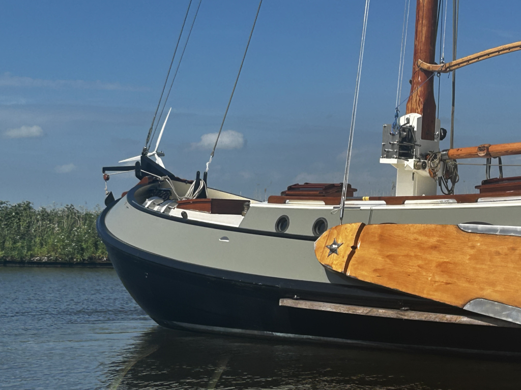 Lemsteraak Blom 1120 - Roefmodel - Wetterlelie — foto 9 van 68