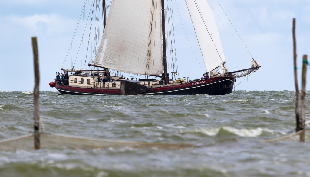Klipper Tweemastklipper, charter — foto 7 van 22