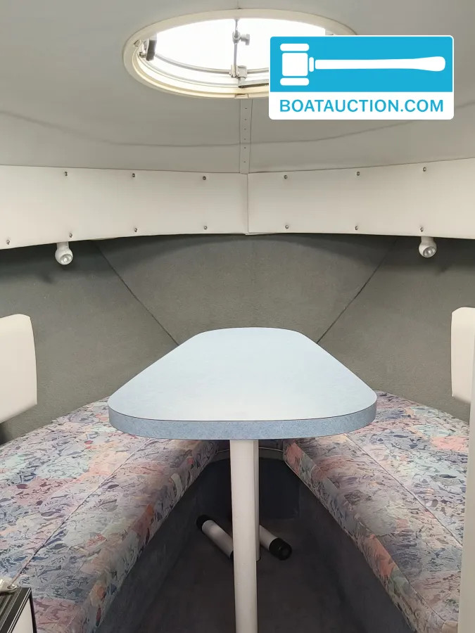 Chris Craft Crowne 262 nu in de online veiling. — foto 11 van 24