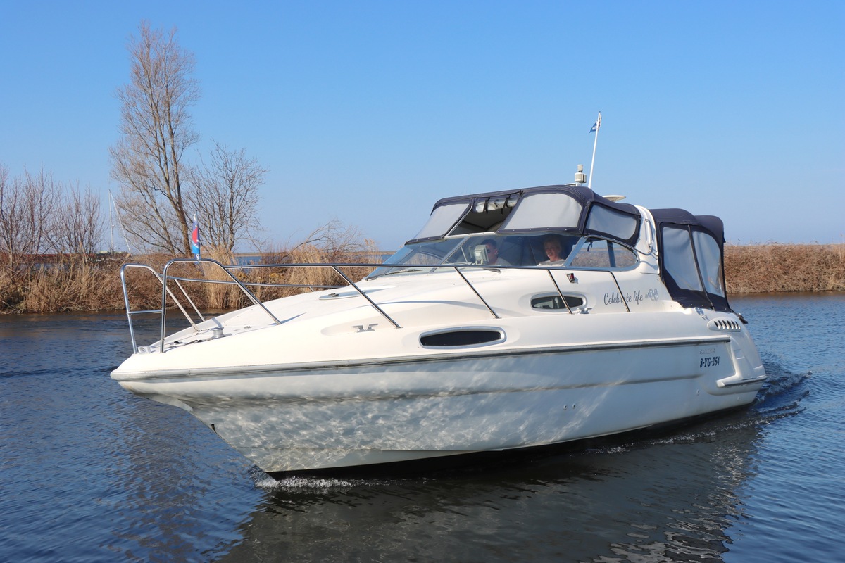 Sealine 310 Ambassador