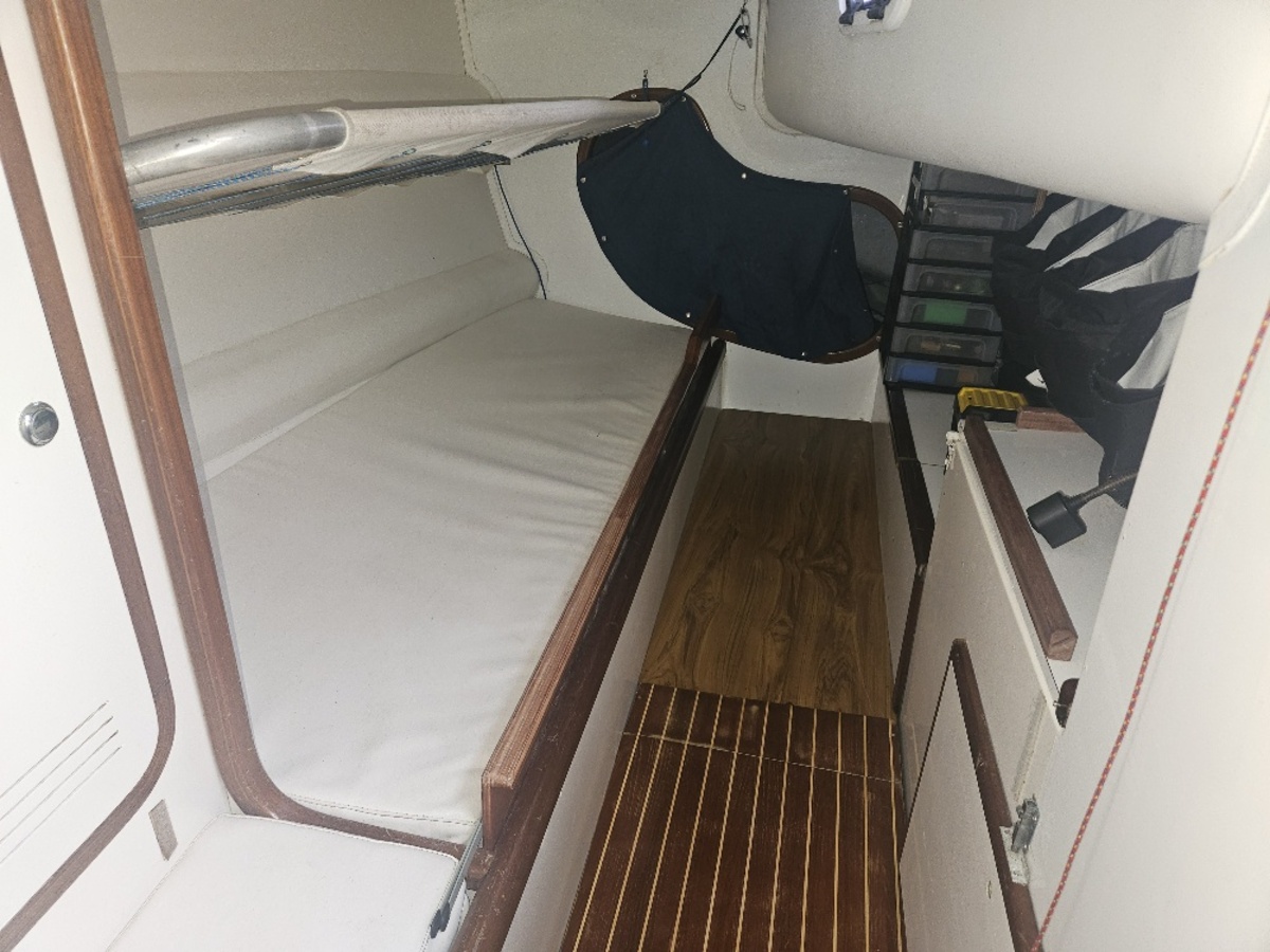 Rodman 42 — foto 21 van 33