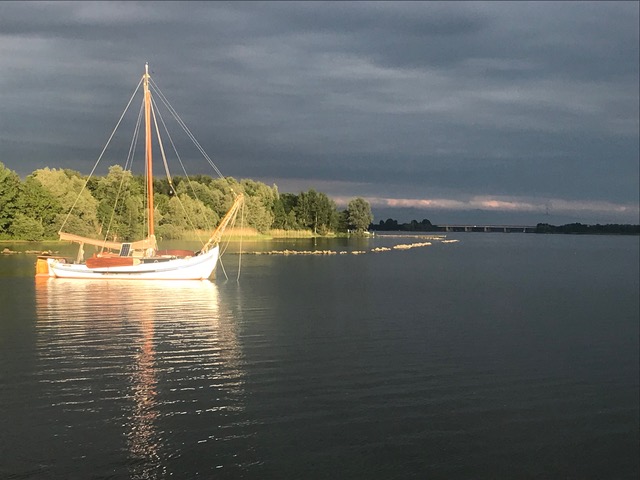 Lemsteraak Roefmodel 1010 - Dolfijn — foto 13 van 39