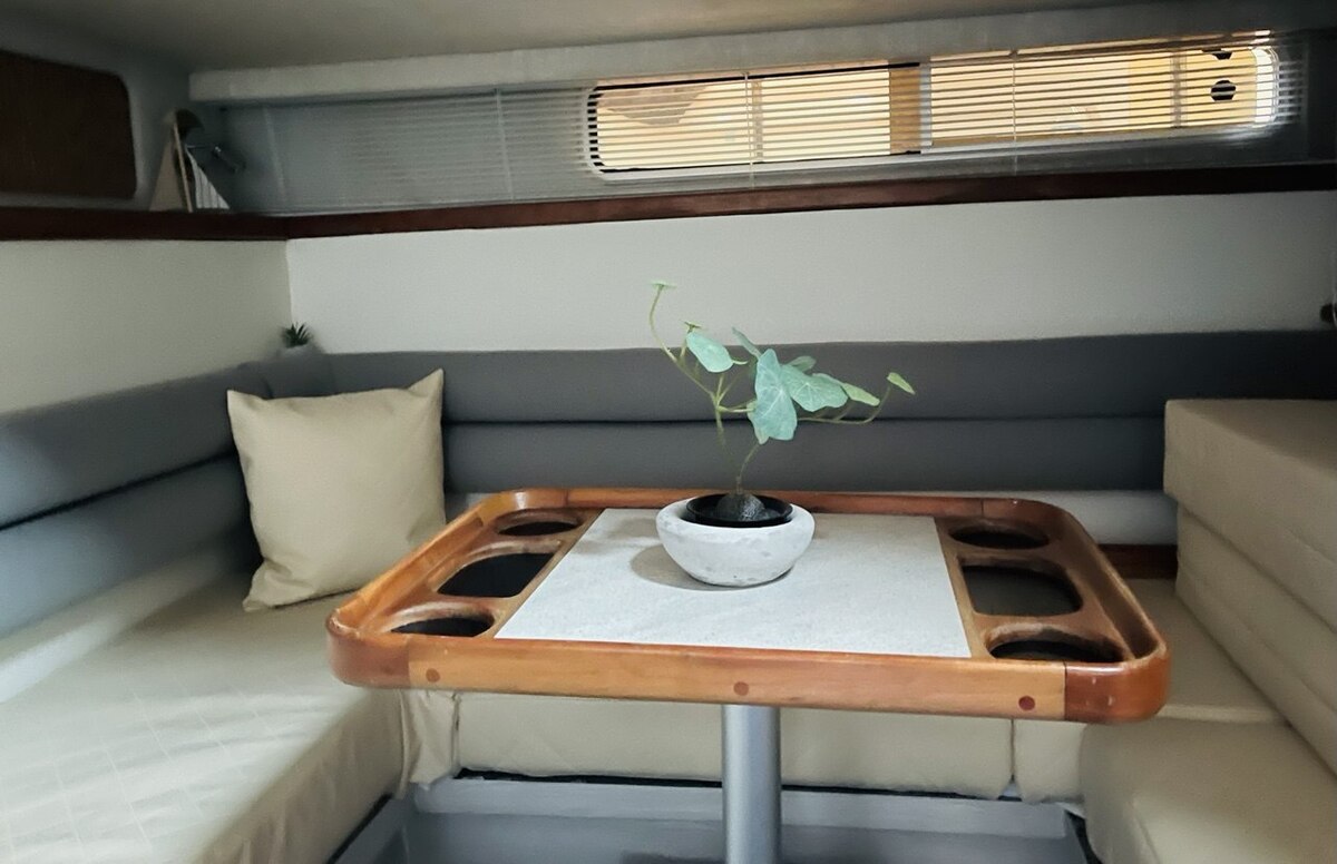 Sea Ray 310 Sundancer — foto 38 van 49
