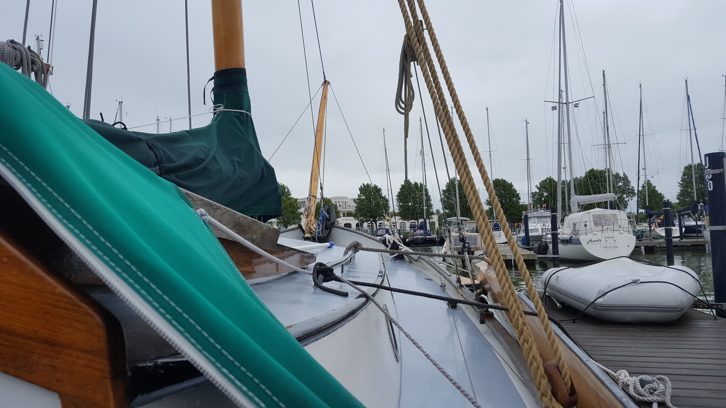 Vredenburgh Schokker 984 — foto 39 van 44