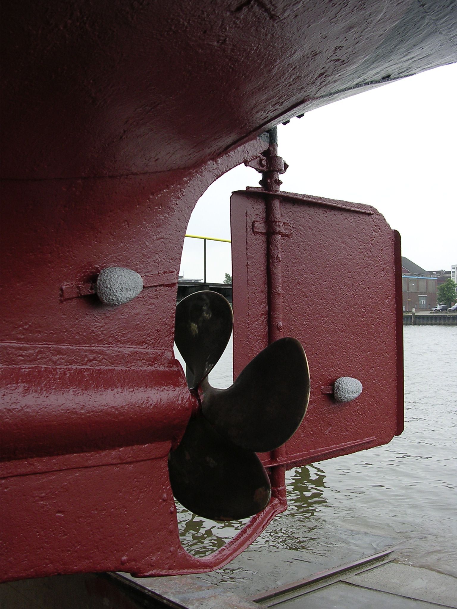 Amsterdammer 14.00