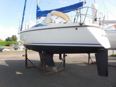 Maxi Yachts / Börjesson Brothers Jachtbemiddeling — foto 3 van 8