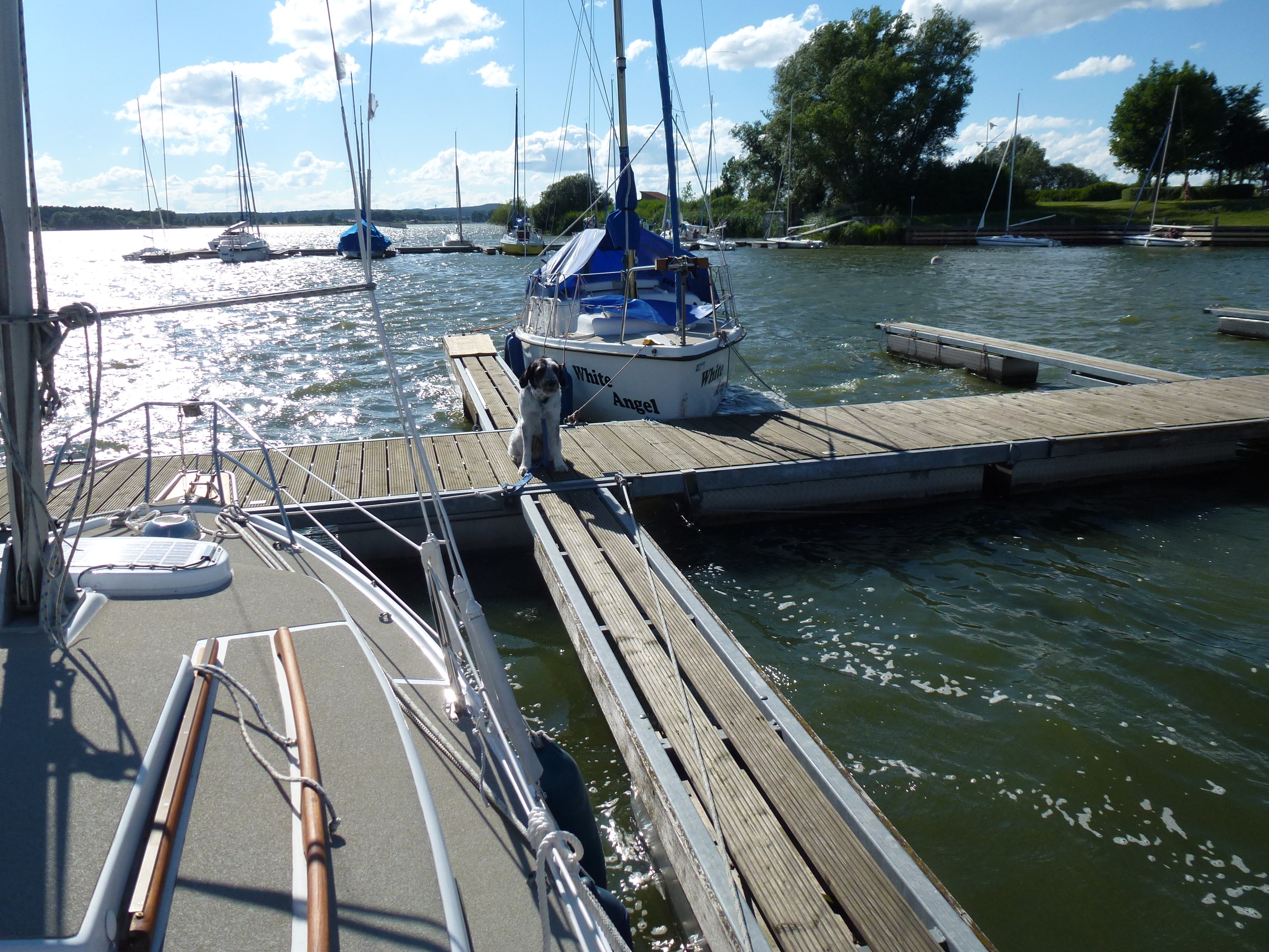 Neptun 212 S — foto 29 van 29