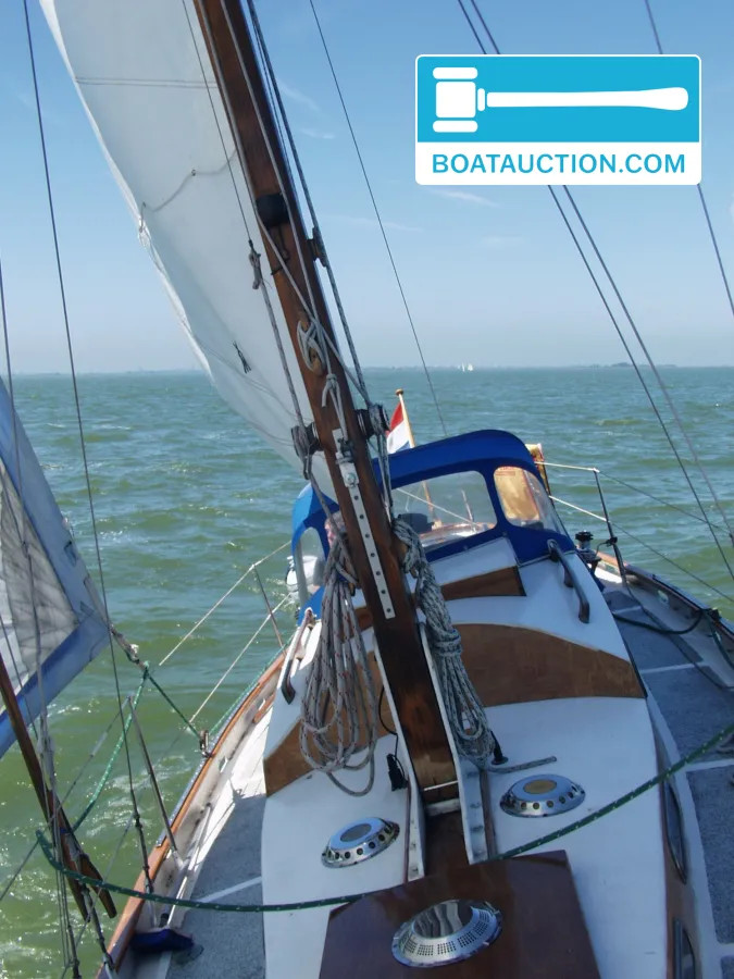 Trintel 1 nu in de online veiling. — foto 3 van 23