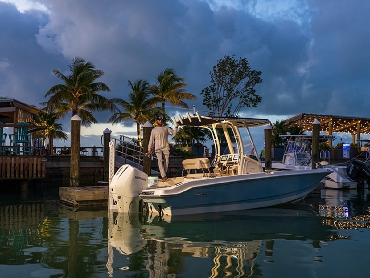 Boston Whaler 220 Dauntless — foto 7 van 17