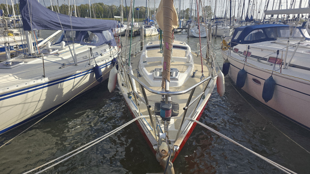 Rebel 41 — foto 5 van 36