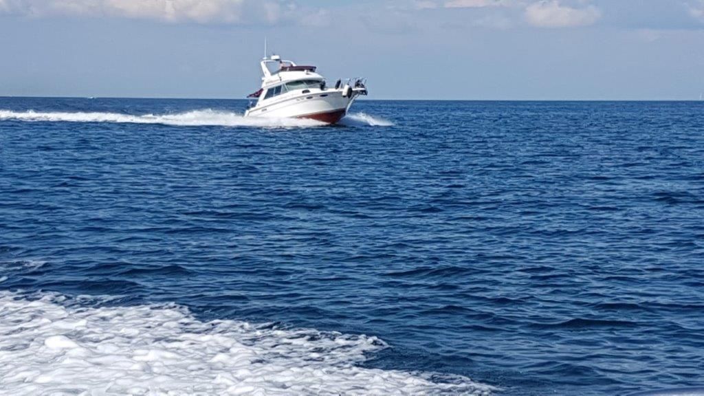 Sea Ray 370 DB — foto 26 van 30