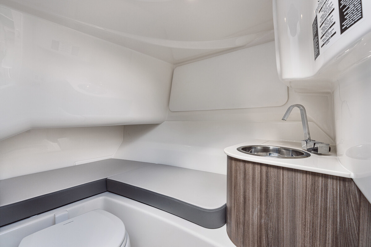 Sea Ray SDX 250 — foto 21 van 32