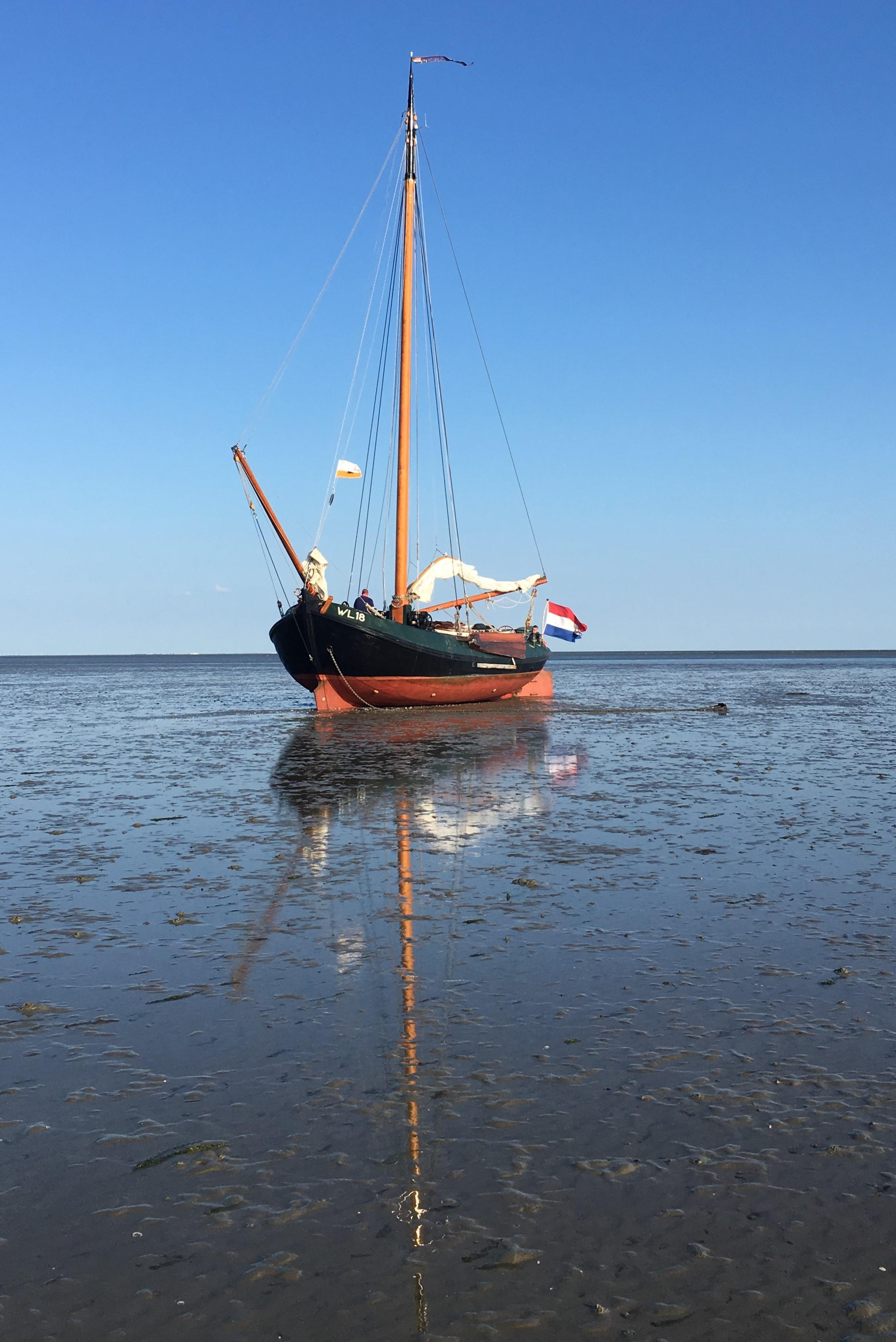 Lemsteraak WL 18 Fasant - Roefuitvoering Jachtuitvoering — foto 20 van 24