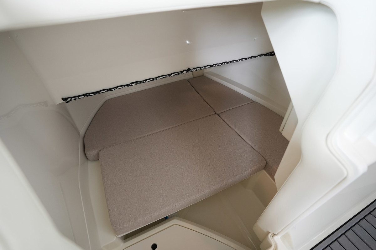 Sea Ray SDX 250 — foto 59 van 82