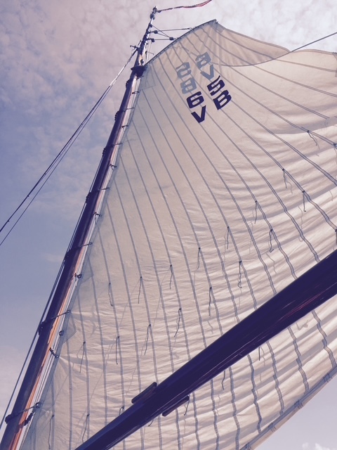 Vollenhovense Bol 9.75 — foto 18 van 69