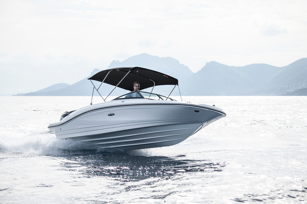 Sea Ray SPX 210 Outboard — foto 1 van 19