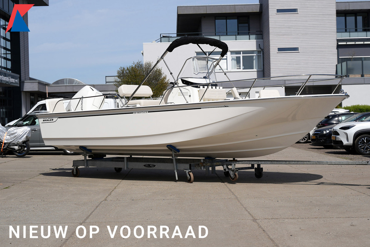 Boston Whaler 210 Montauk — foto 7 van 28