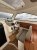 Gagliotta Lobster 35 2023 te koop | IYM — foto 6 van 12