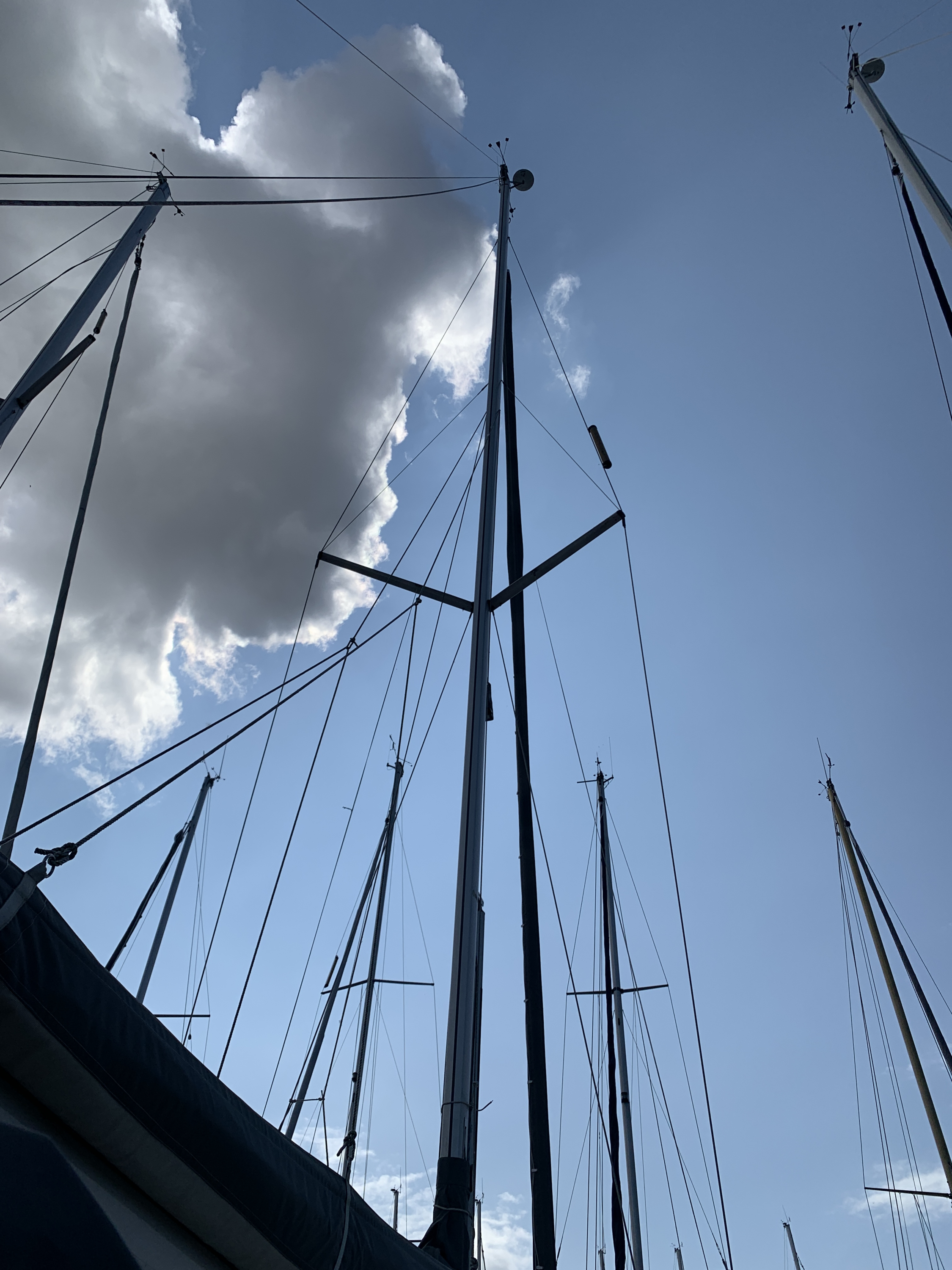 Bavaria 31 Cruiser Limited Edition — foto 49 van 54
