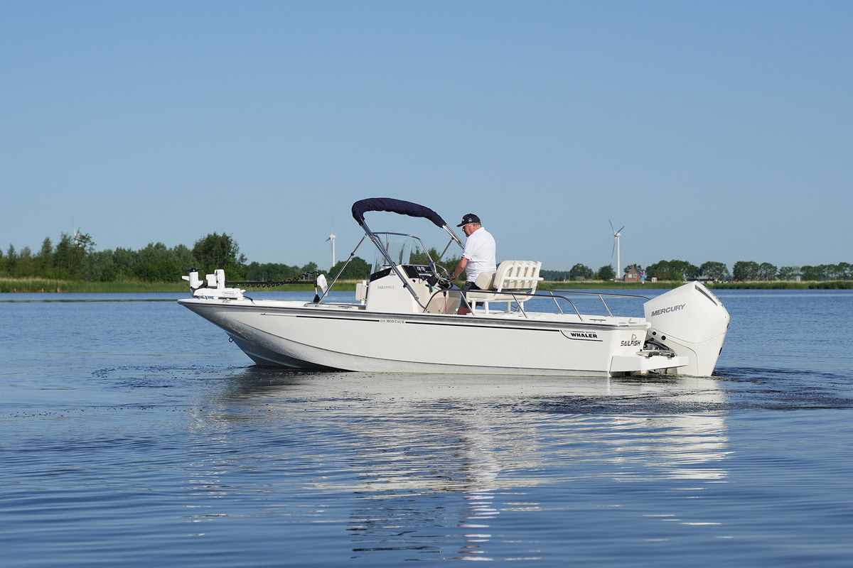 Boston Whaler 210 Montauk — foto 4 van 50