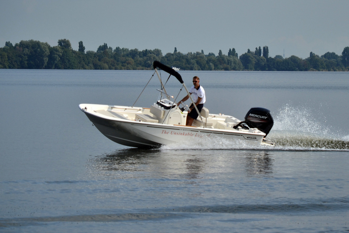 Boston Whaler 170 Montauk — foto 12 van 34