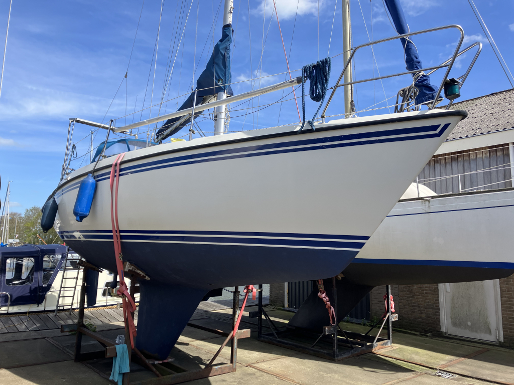 Sunwind 31 — foto 1 van 29