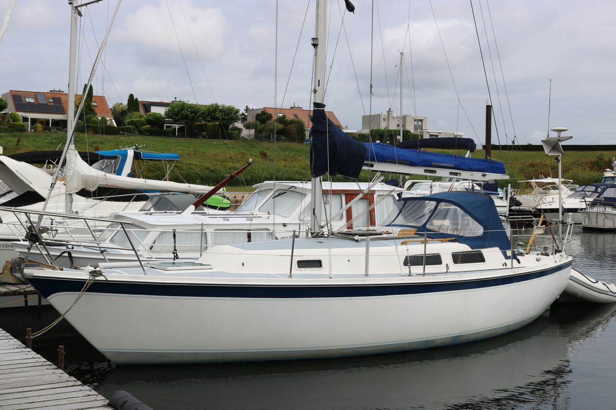 Zeilboot Cal 31