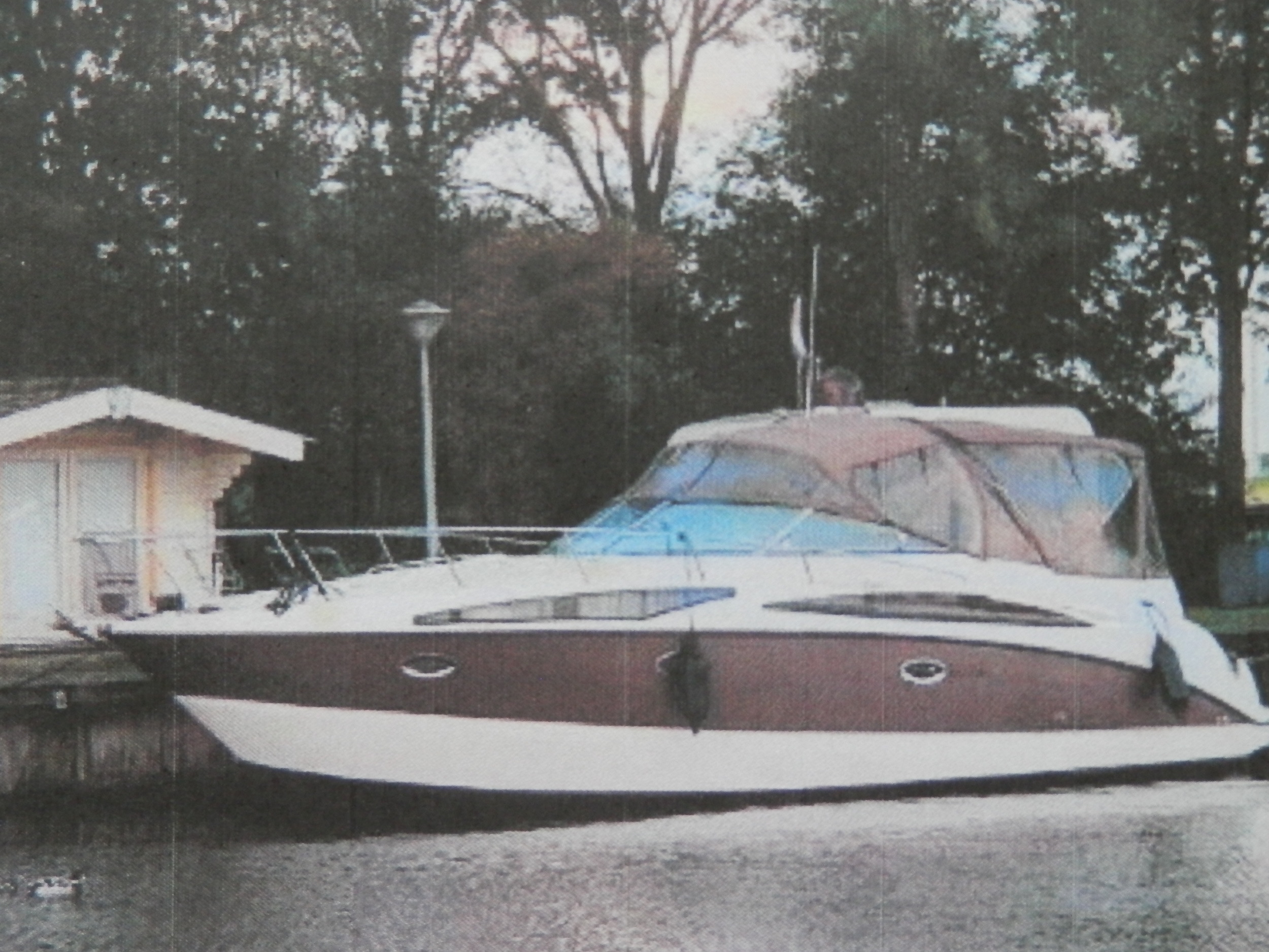 Bayliner 325 SB — foto 2 van 19