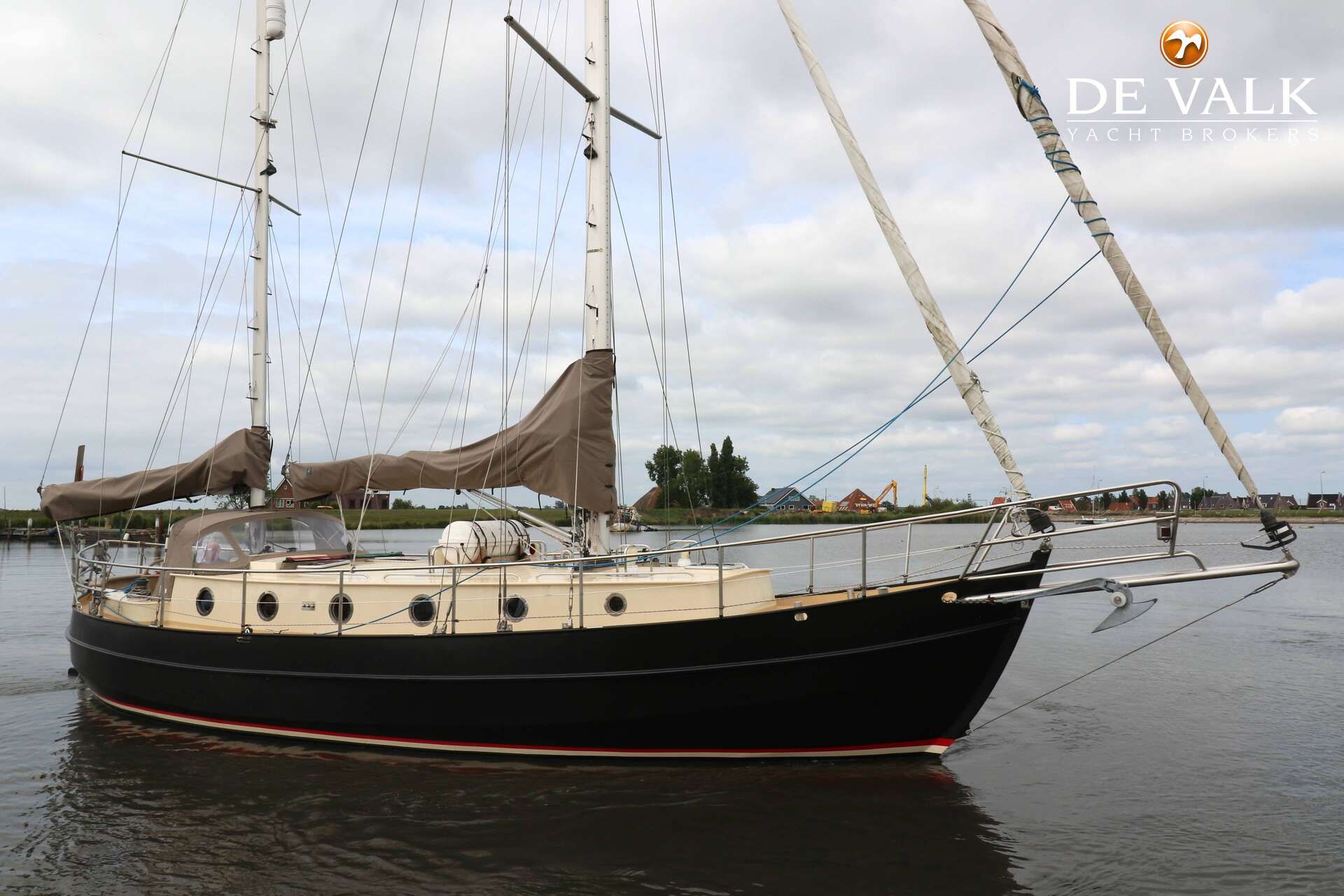 Danish Rose42