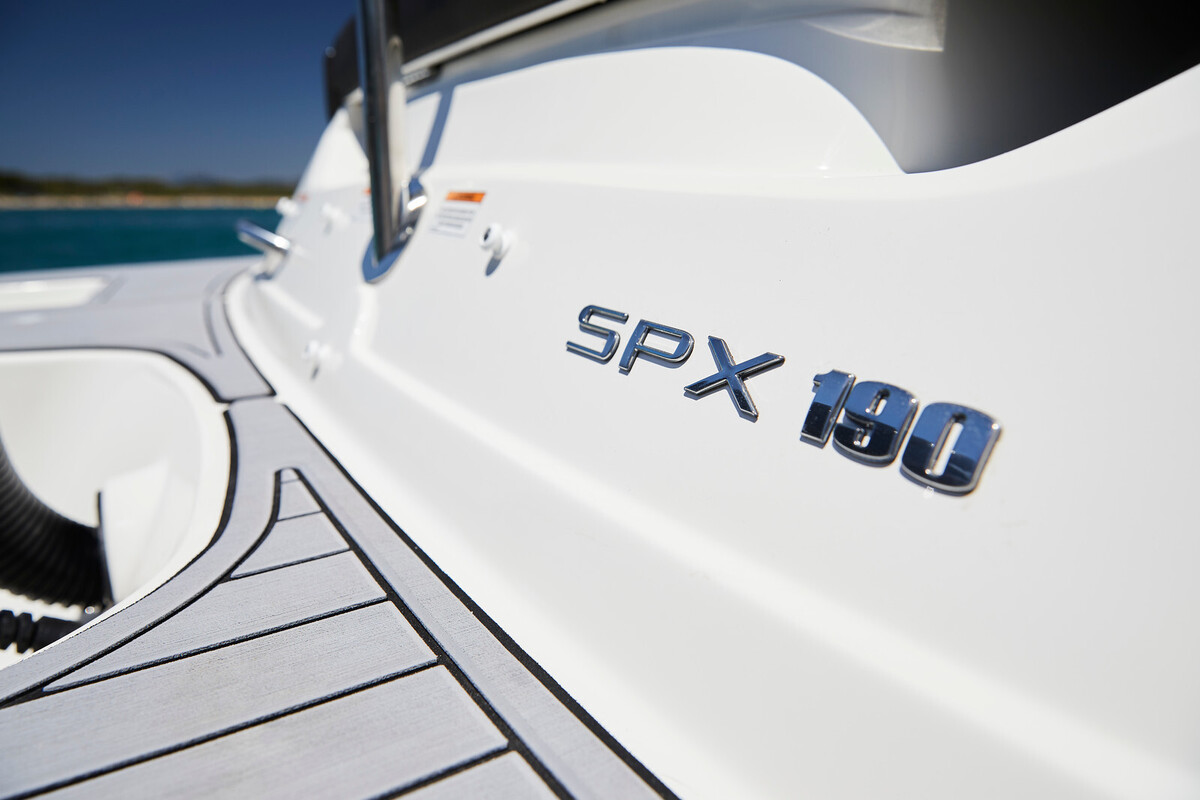 Sea Ray SPX 190 Outboard — foto 9 van 11