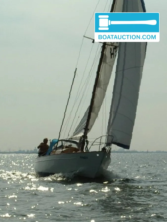 Trintel 1 nu in de online veiling. — foto 21 van 23