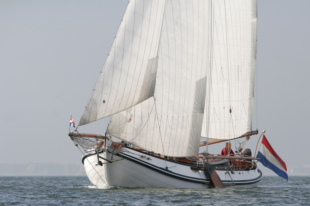 Lemsteraak Roefmodel - IJsvogel — foto 21 van 22