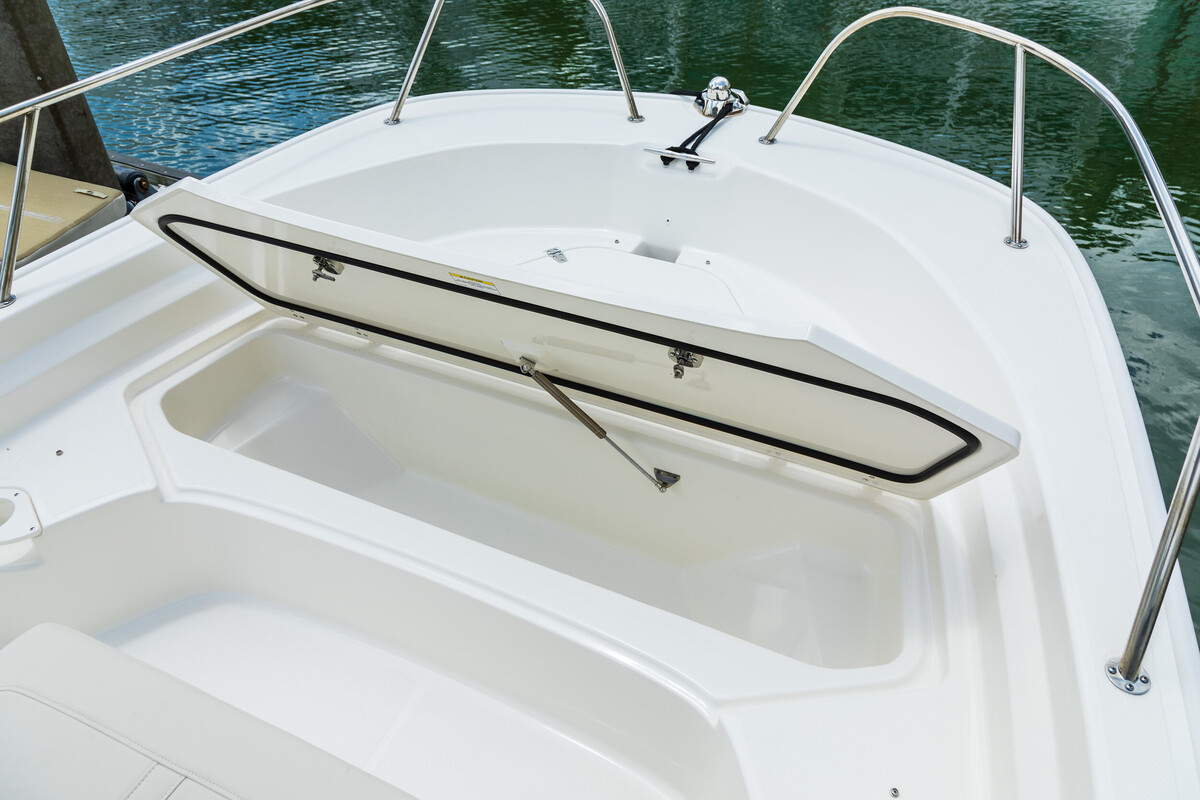 Boston Whaler 190 Montauk — foto 5 van 17