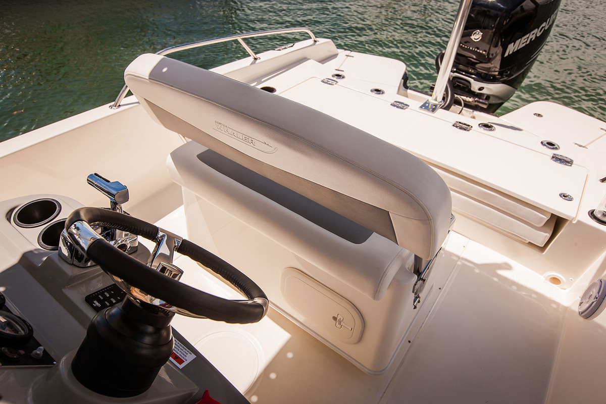 Boston Whaler 250 Dauntless — foto 5 van 12