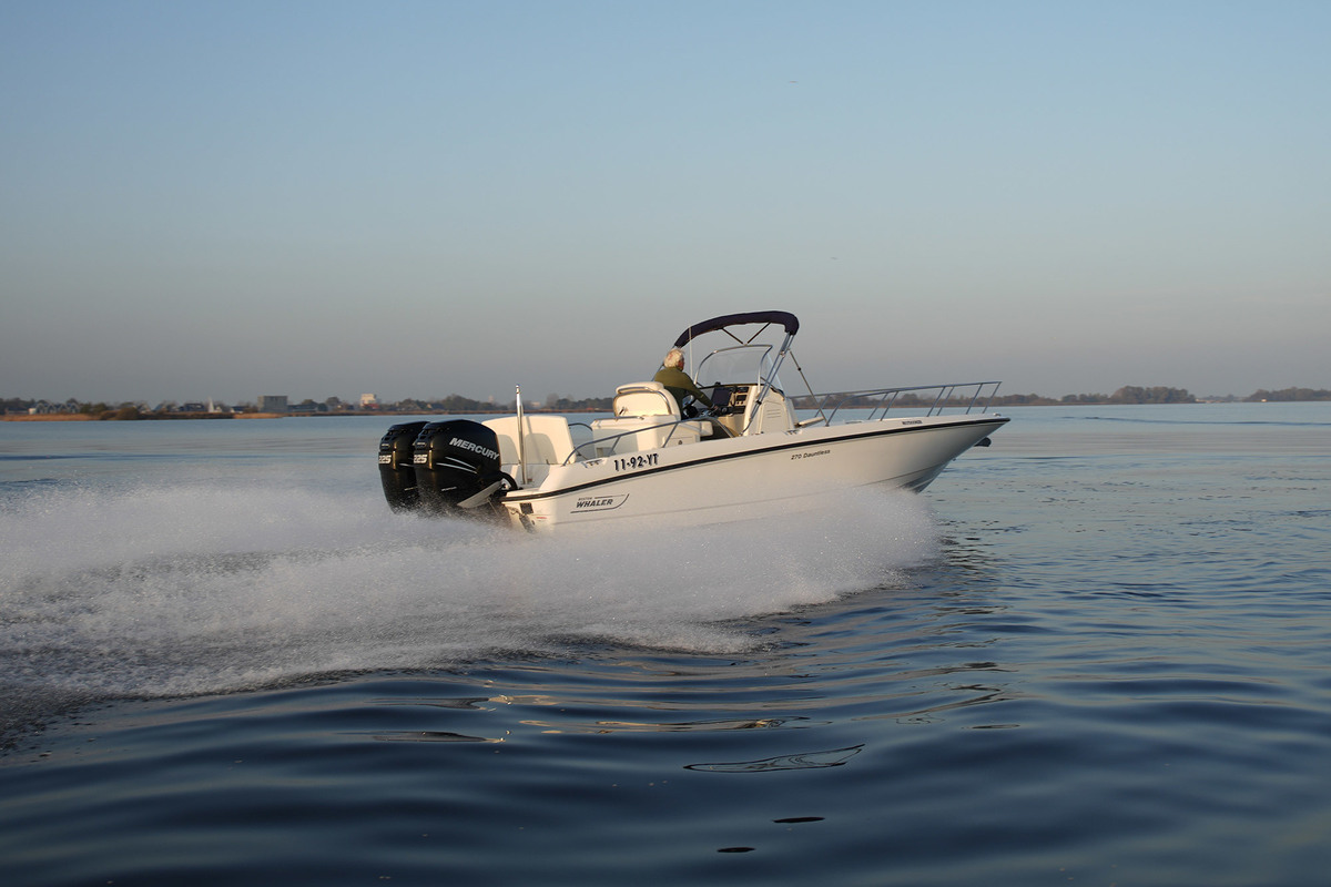 Boston Whaler 270 Dauntless — foto 6 van 37