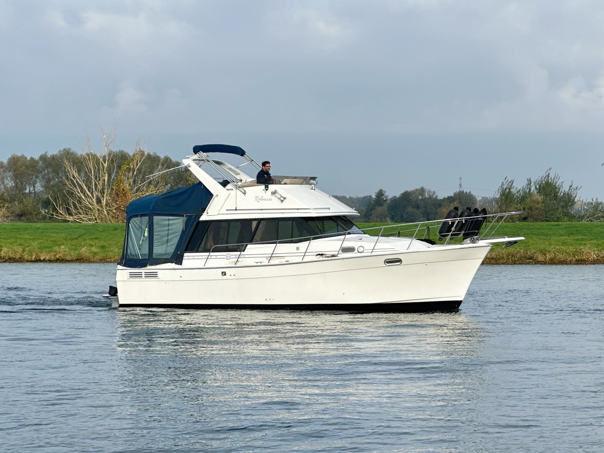 Bayliner 3288