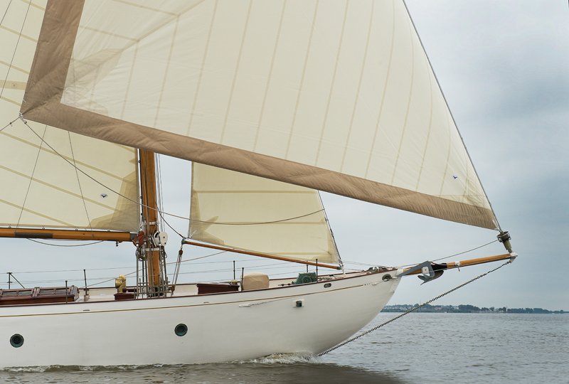 Cantiere Navale Postiglinio San Domenico — foto 4 van 73