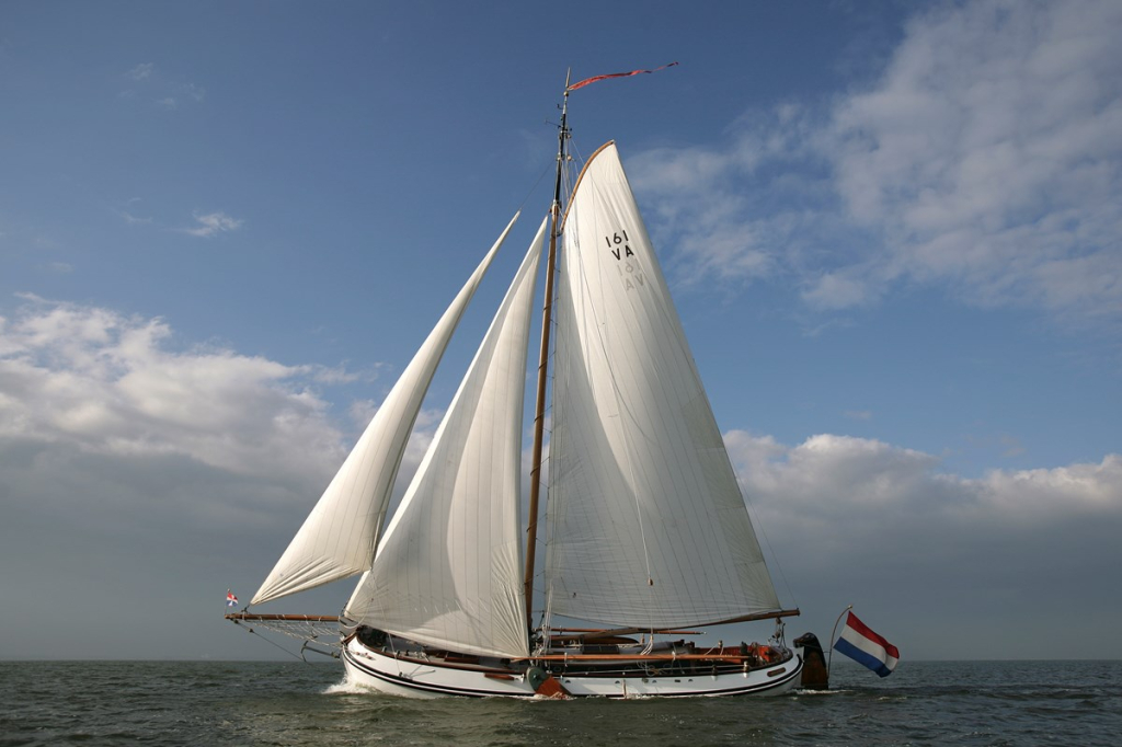 Lemsteraak Roefmodel - IJsvogel — foto 2 van 22