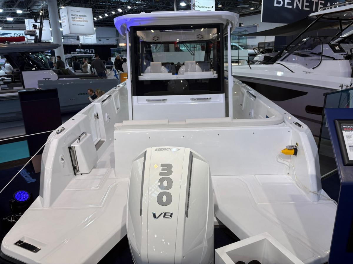 WELLCRAFT 28 Explorer — foto 4 van 31