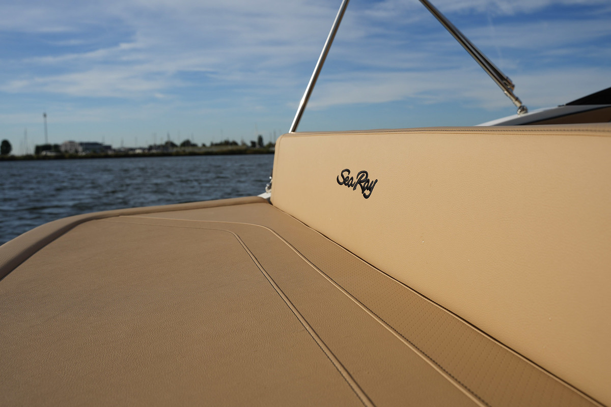 Sea Ray SPX 210 — foto 19 van 56