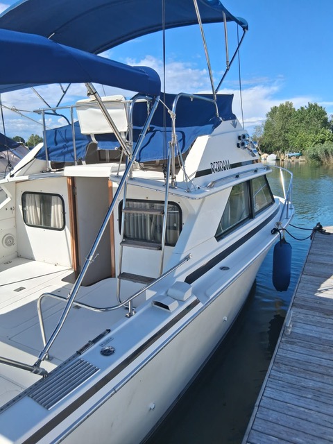 Bertram 28 Cruiser - BluYachting — foto 4 van 12