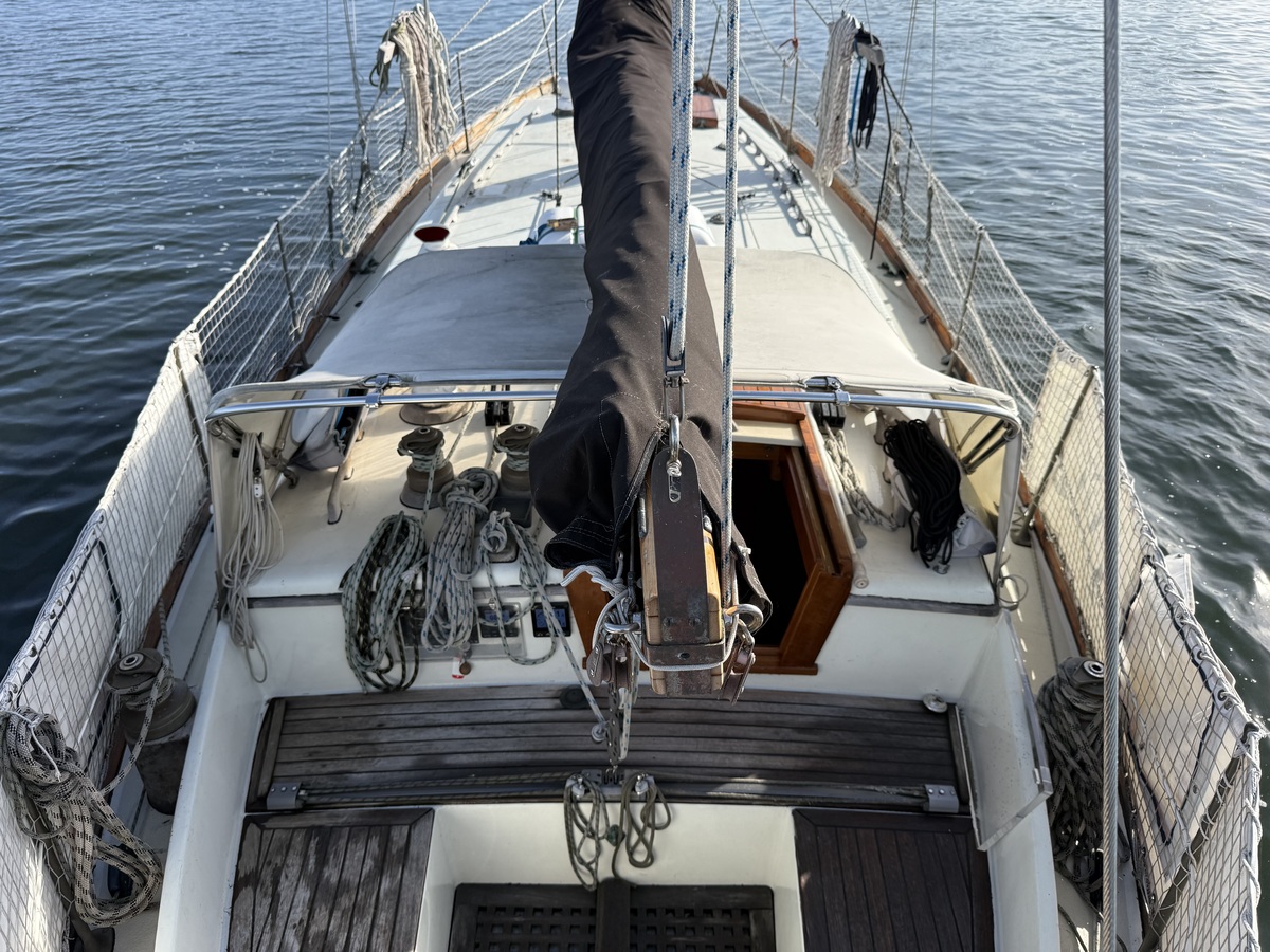 ORCA 38 — foto 48 van 74