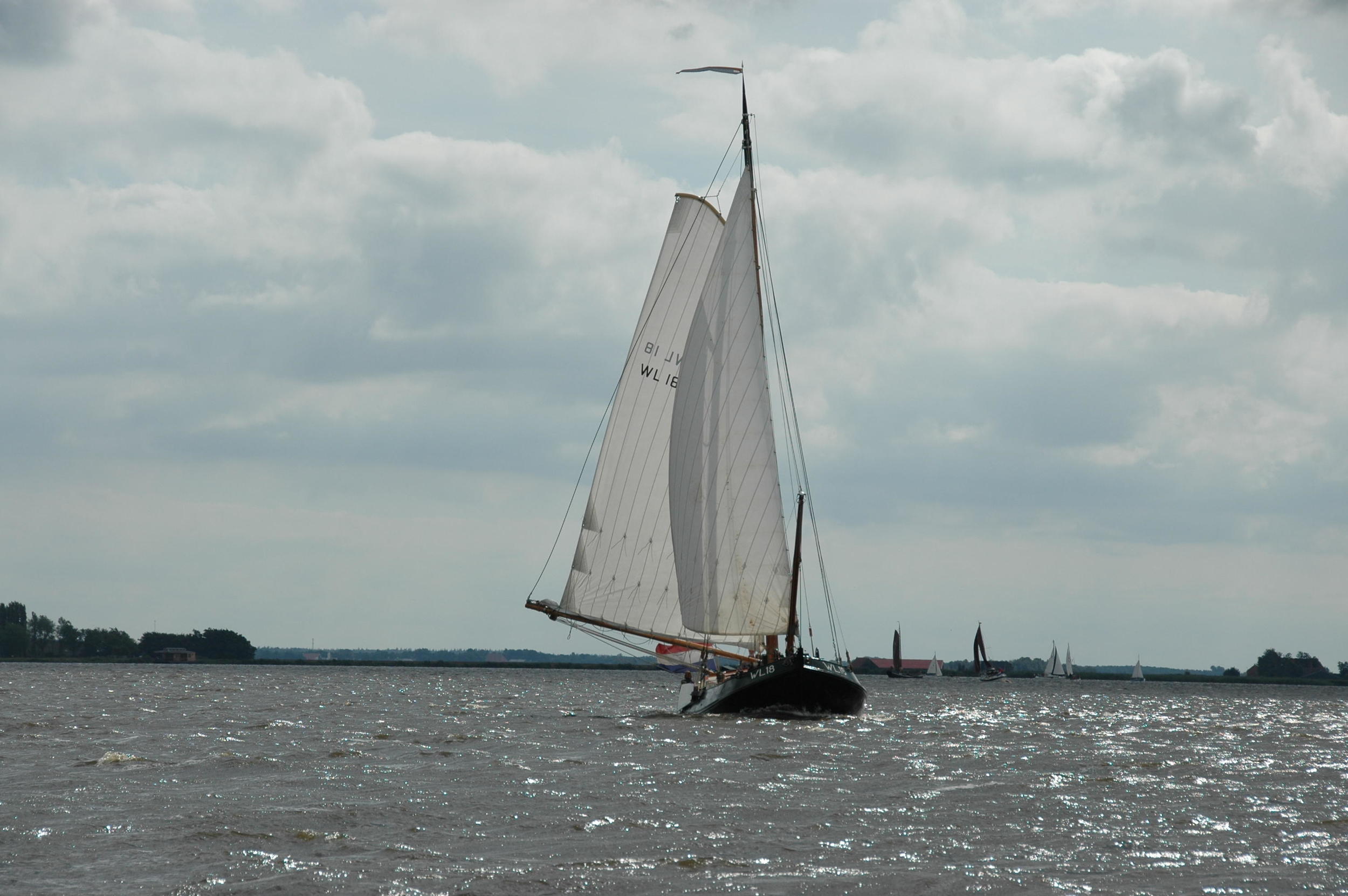 Lemsteraak WL 18 Fasant - Roefuitvoering Jachtuitvoering — foto 19 van 24